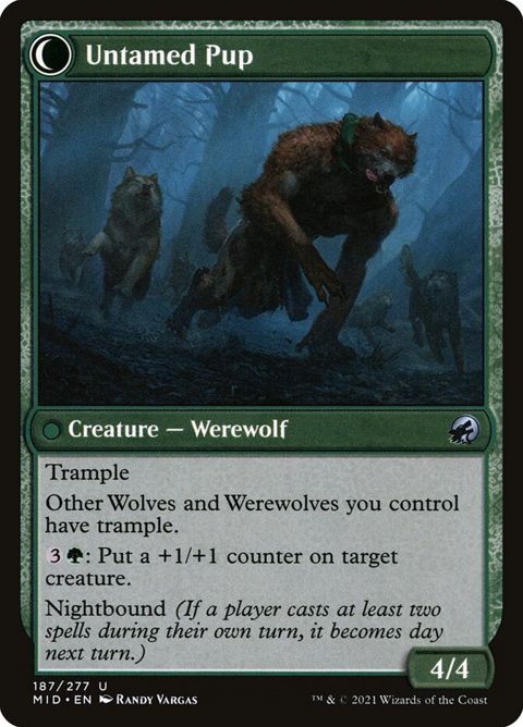 187-houndtameruntamedpup-b