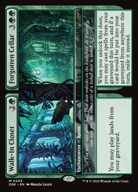 205-walkinclosetforgottencellar-a