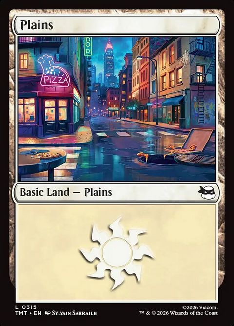 315-plains