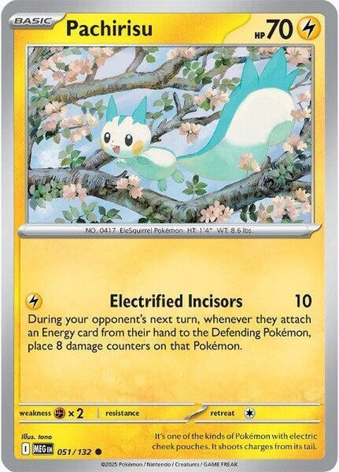 51-pachirisu